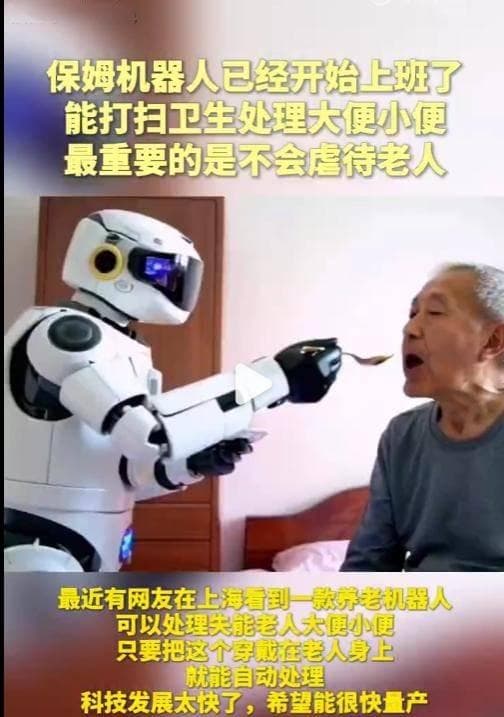保姆机器人：未来家居市场的新星还是昙花一现？