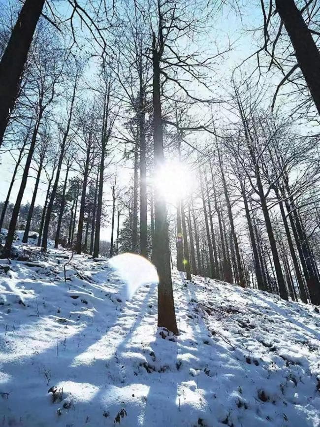 宁波四明山迎来最美雪景 宛如童话世界