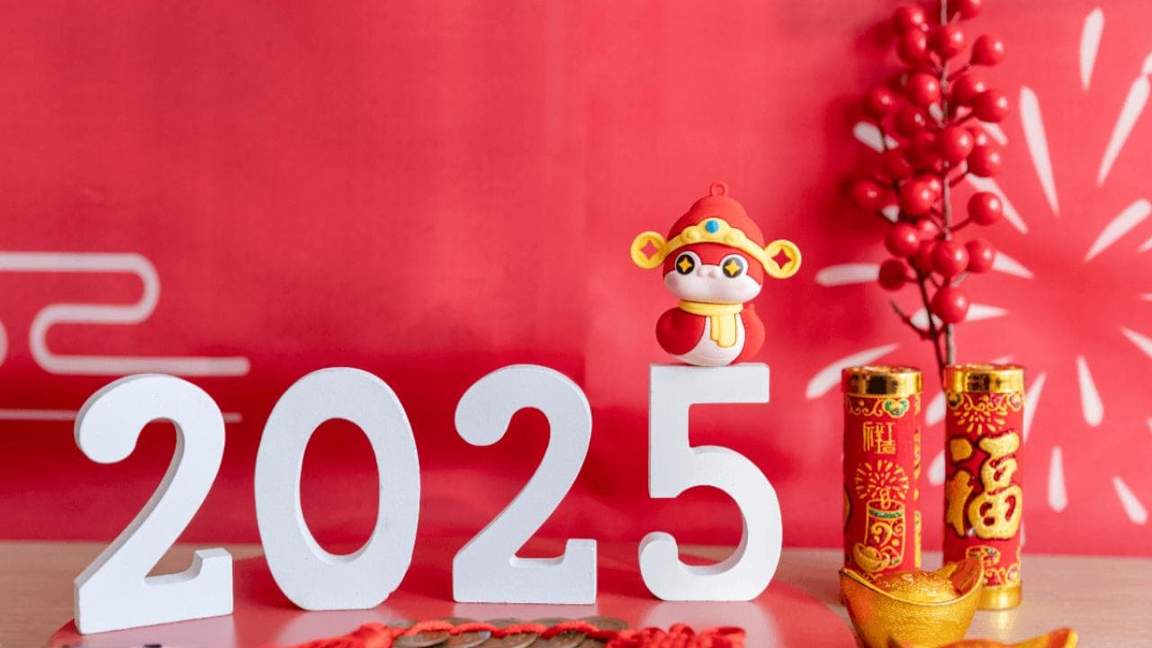 蛇年春节：首个“世界年”