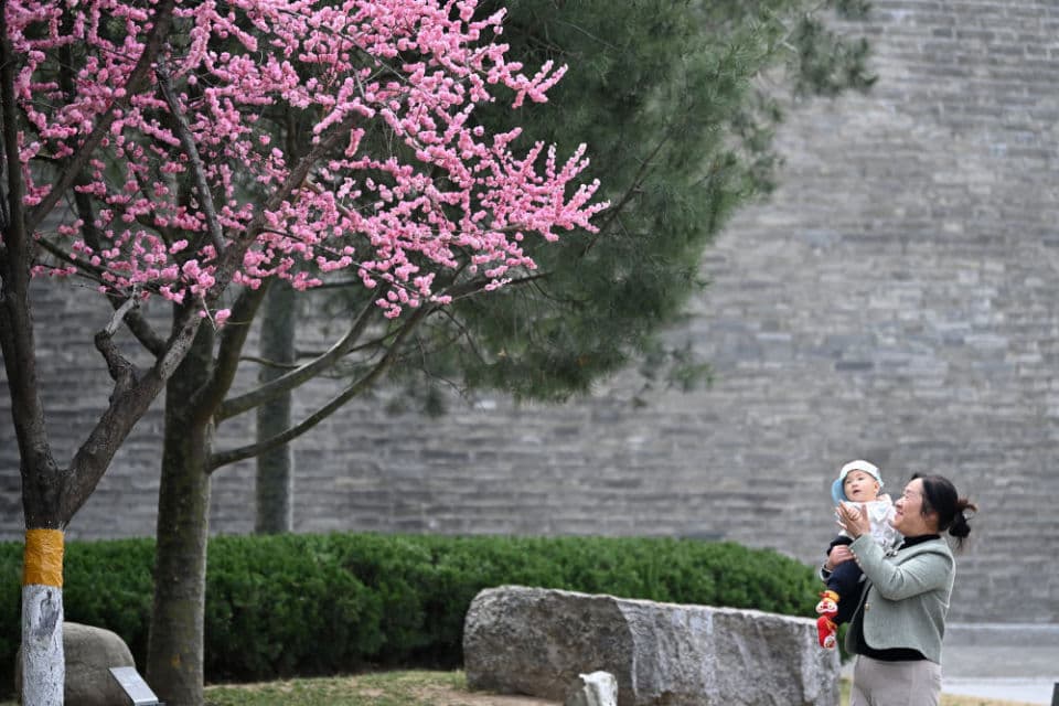 千年古都的“绿野仙踪”——西安建设公园城市见闻