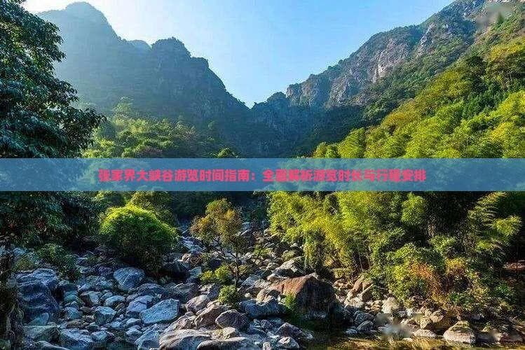 张家界大峡谷游览时间指南：全面解析游览时长与行程安排