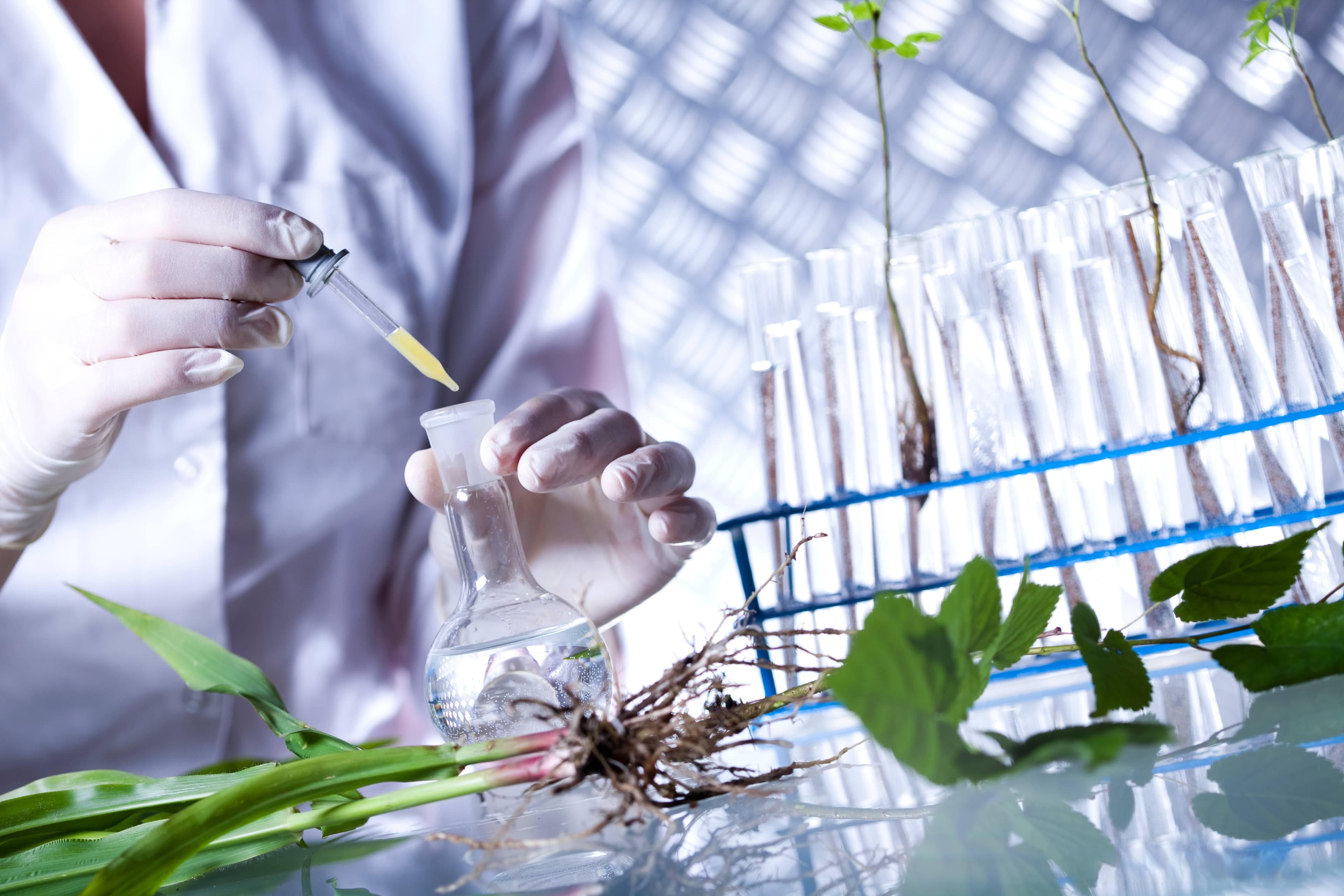 植物乙烯含量测定：原理、方法与应用