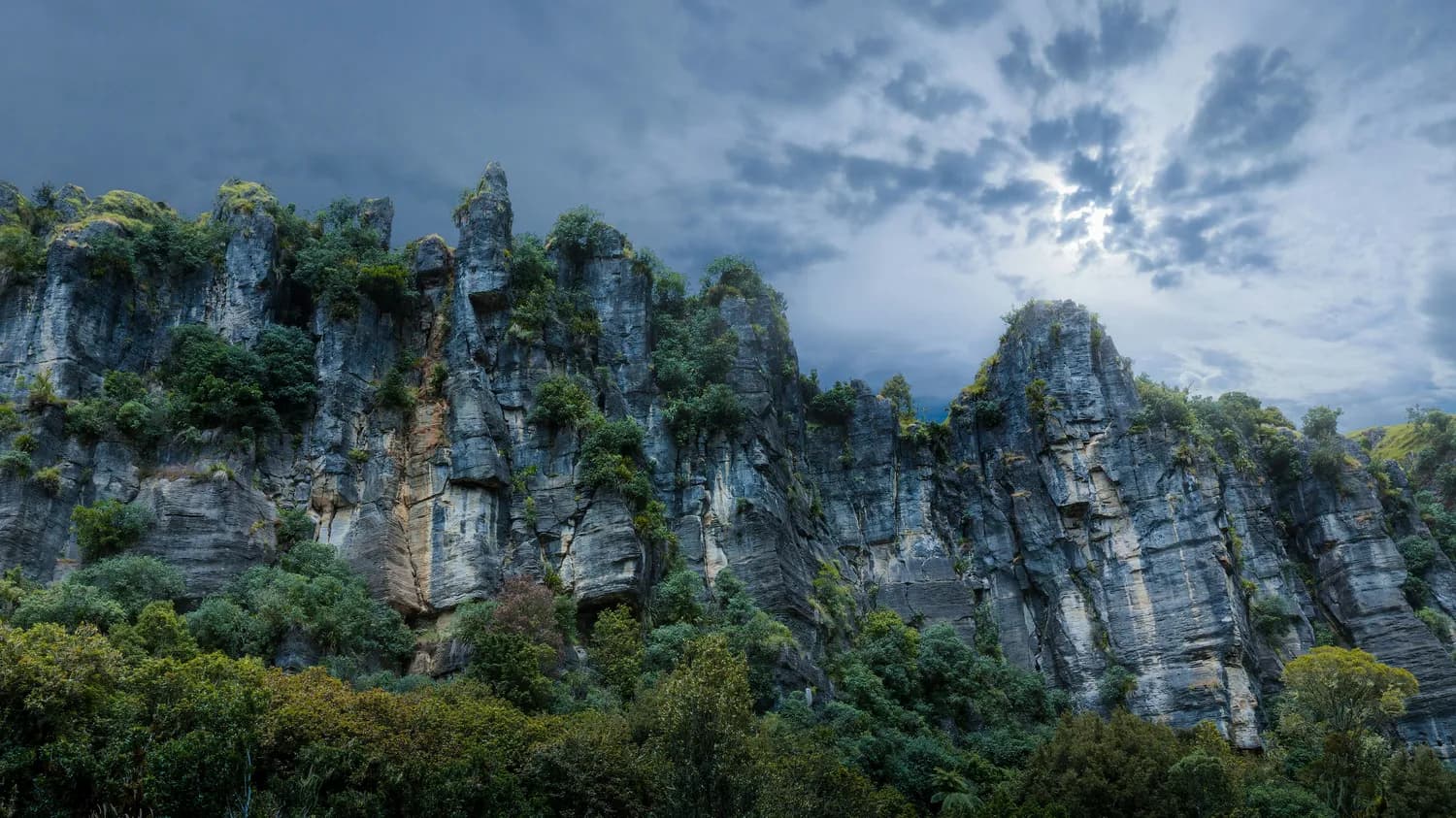 武夷山春节文旅活动大揭秘！