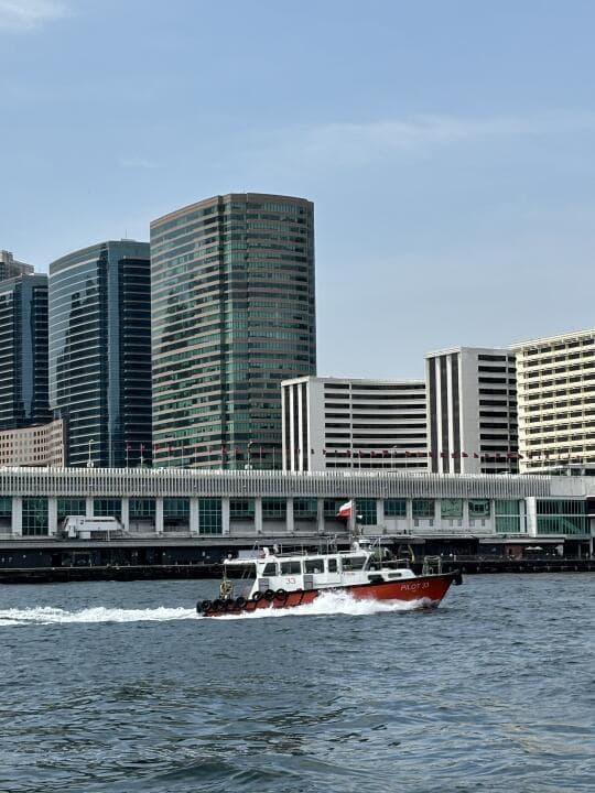 香港一日游精华攻略：从维港到山顶，尽览繁华与自然美景