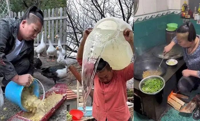 “东北雨姐”出圈又塌房：“新农人”该如何做好乡村短视频？