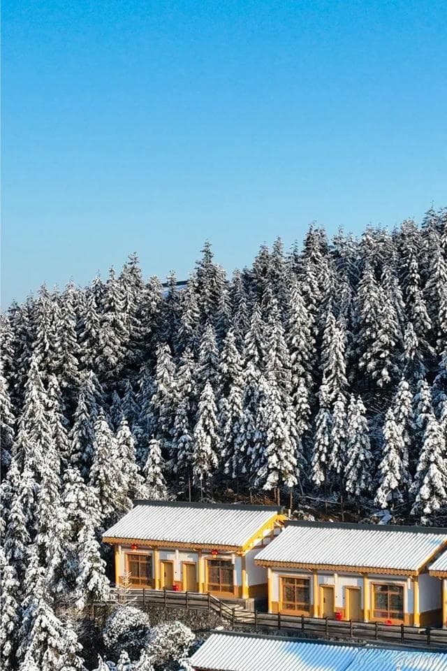 大雪纷飞，解锁宜宾绝美雪景地图