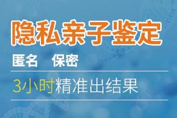 头发DNA提取的技巧和注意事项