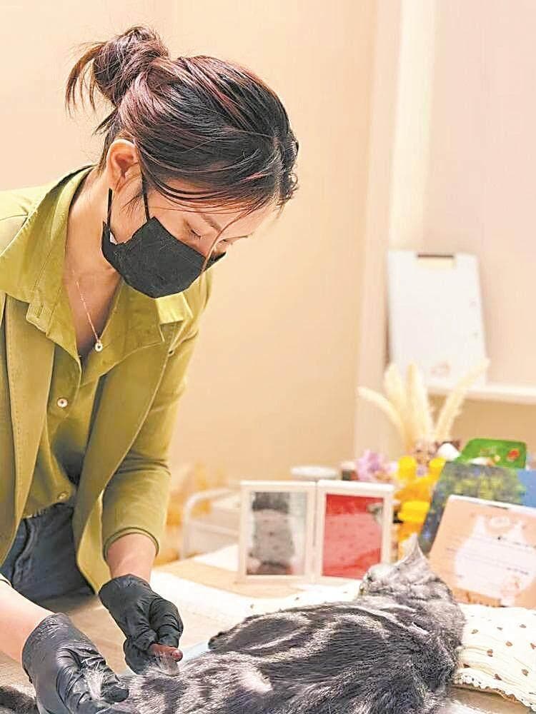“95后”宠物殡葬师张英俊：为人与宠物架起联结生死的“彩虹桥”