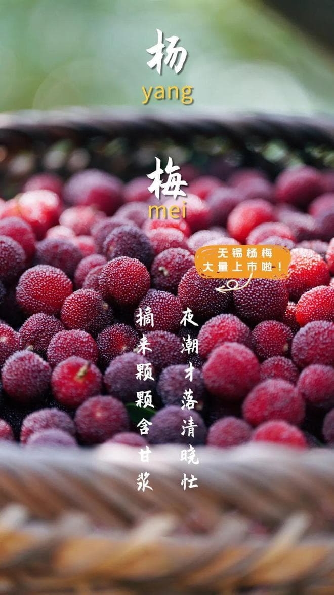 无锡的杨梅，太好吃啦！