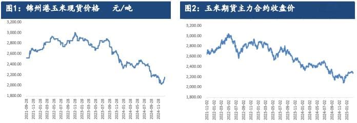 玉米供需关系趋于宽松 价格以震荡调整为主