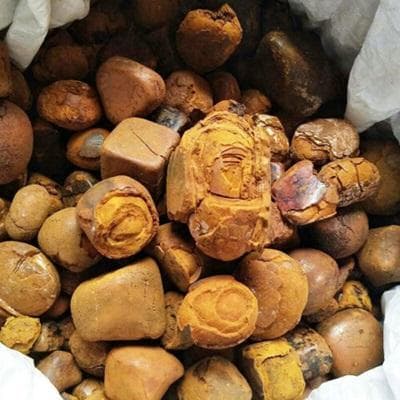 牛黄：传统中药材的多重功效与应用