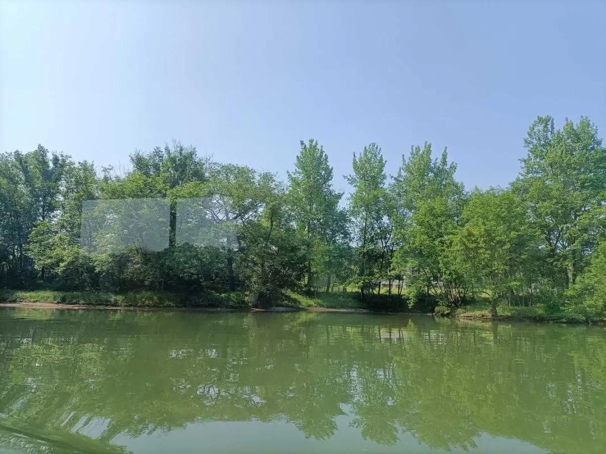 《非暴力沟通之如何表达感受》笔记