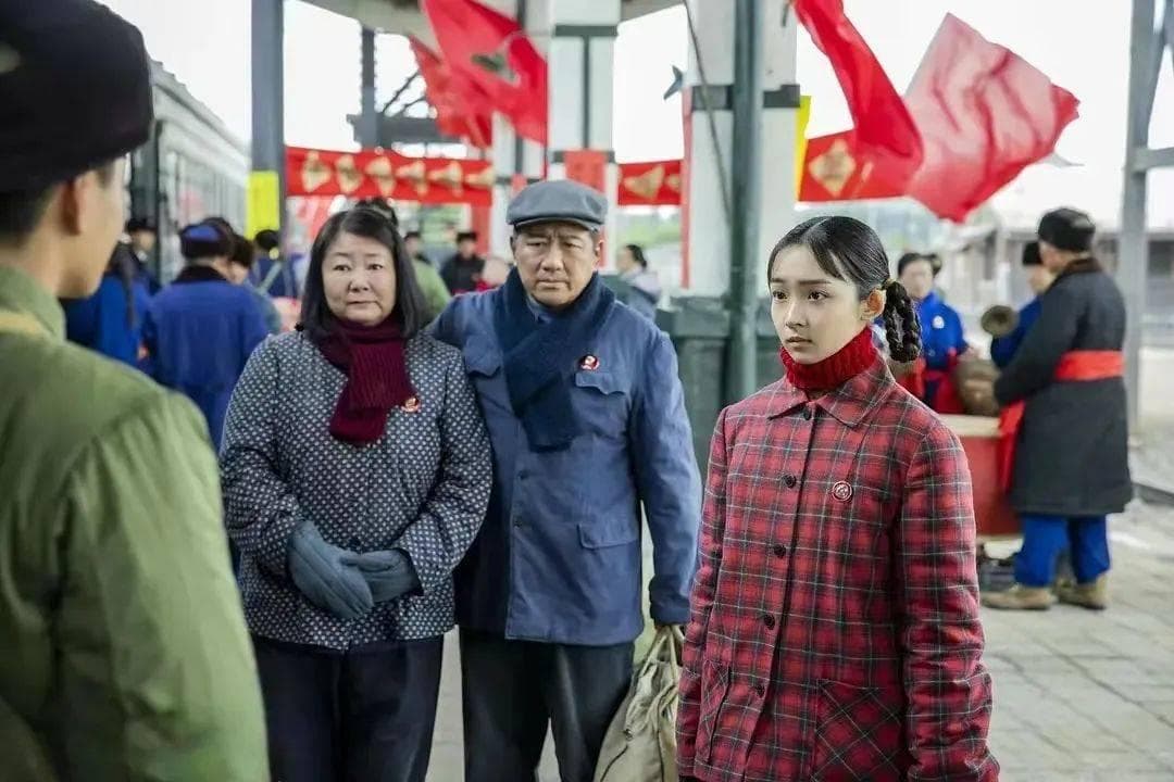 《人世间》：知青上山下乡运动的历史回望与人性思考