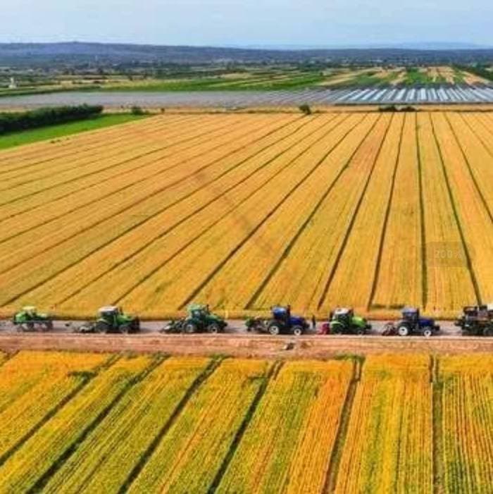 国机亿龙：高标准农田可以提升基本农田利用率，实现农业现代化