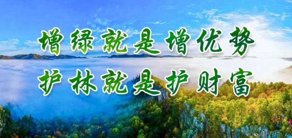 【生态立企】林区各地：开展植树节宣传活动 共赴绿色之约