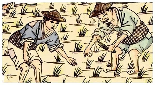 从先秦时期到明清时期，中国古代土地制度特点及其演变规律