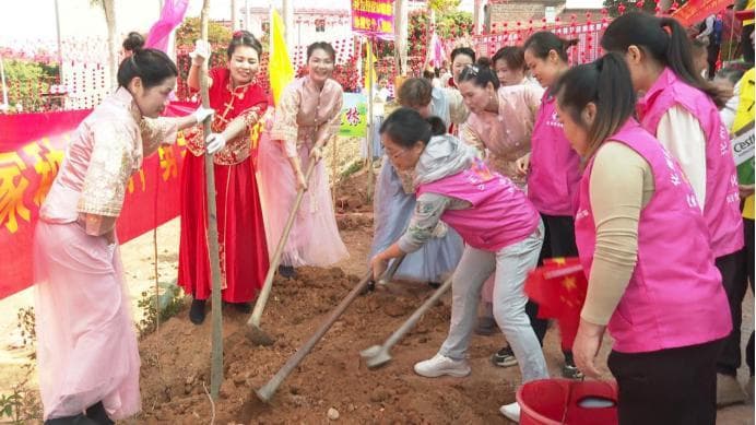 “我为娘家种棵树”，化州种下一片片“金花林”！