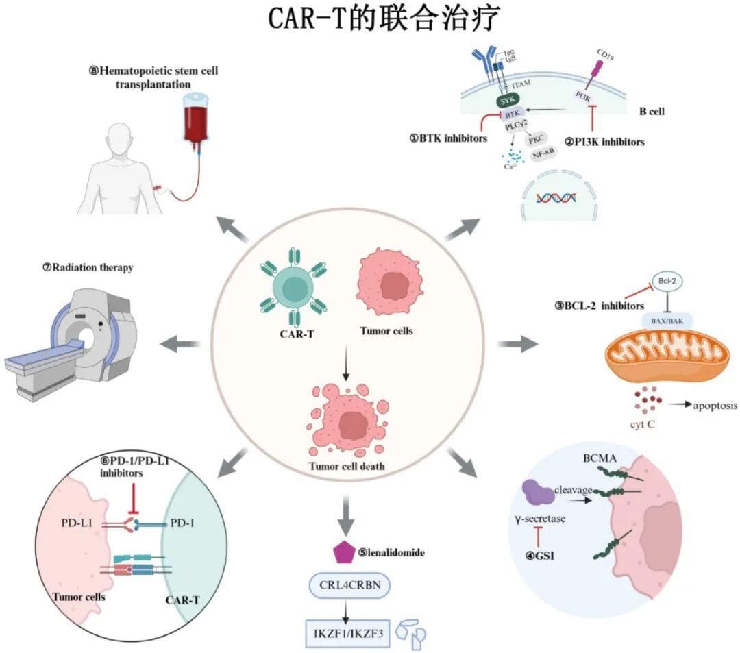 血液恶性肿瘤中CAR-T细胞疗法的联合策略