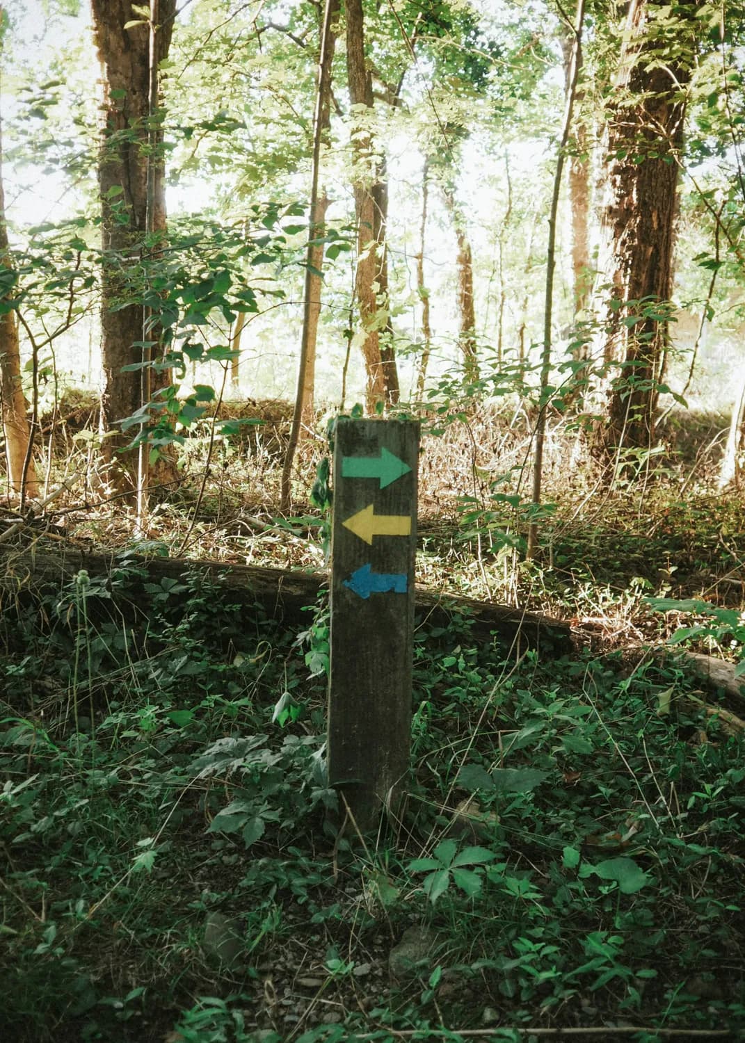 阳宅未山丑向：家居风水新潮流