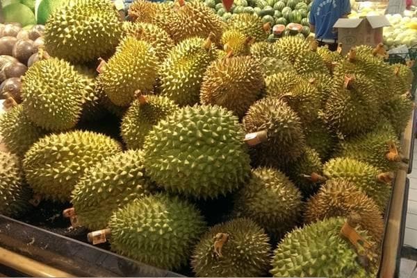榴莲成熟的季节在几月？7个实用挑选技巧让你买到好果