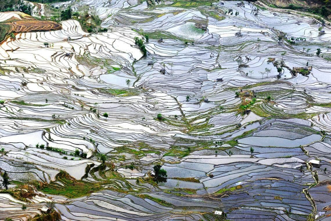 走进云南 去有风的地方