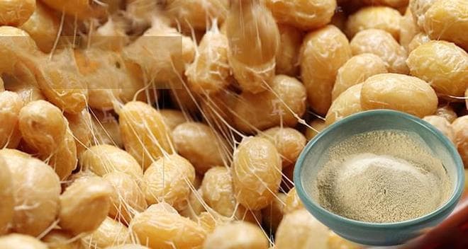 什么是纳豆激酶