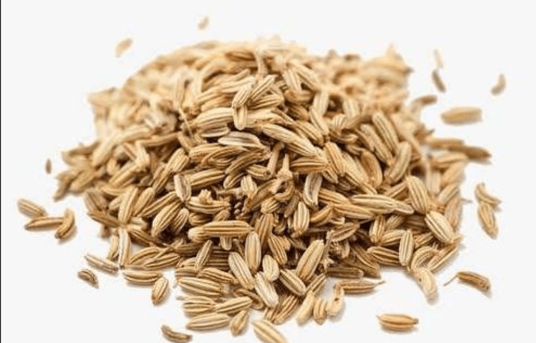 中药小茴香：从传统应用到现代研究