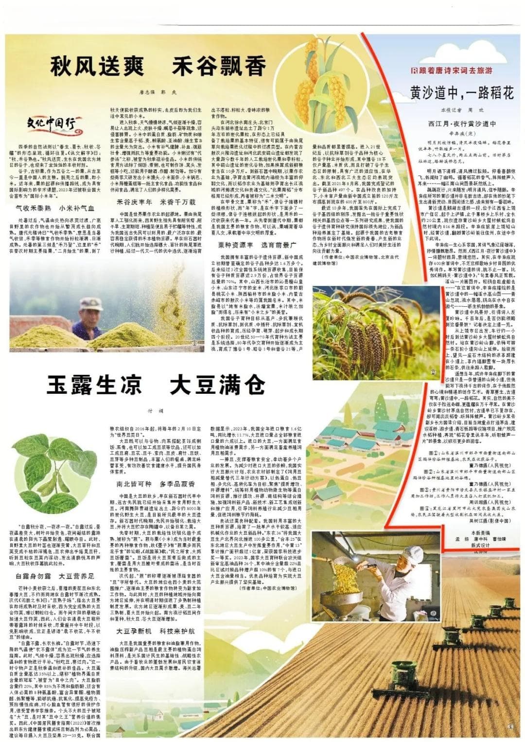 小米是“西米”？大豆叫菽？五谷杂粮原来这么好玩
