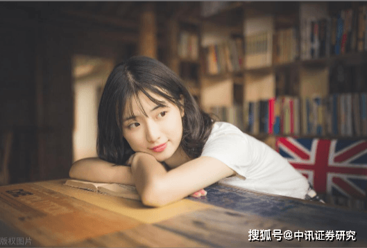 连板数作为股市情绪指标的重要性分析