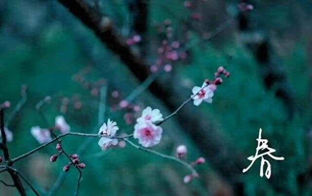 今年二月初一现77年奇观！七星连珠遇上“双龙日”，藏四大玄机