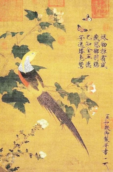 花鸟画中的鸟文化