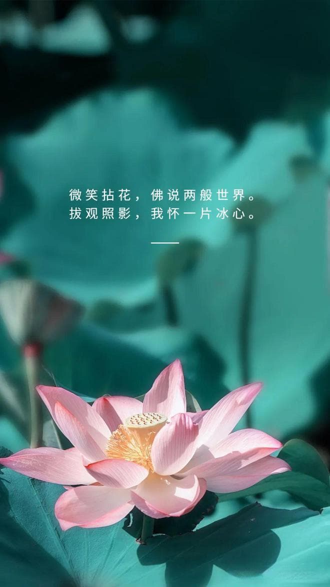 “问观音为何倒坐？恨众生不肯回头”：8副禅语对联里的大智慧