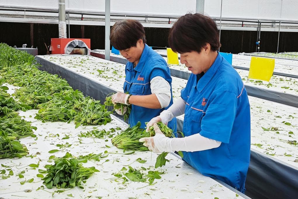 浙江省余姚市梁弄镇横坎头村：“革命老区村” 蹚出共富路