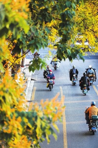 碧云天，黄叶地 太原初冬别样美 市民享受好风光