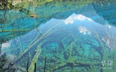 环境污染损害鉴定是怎样的