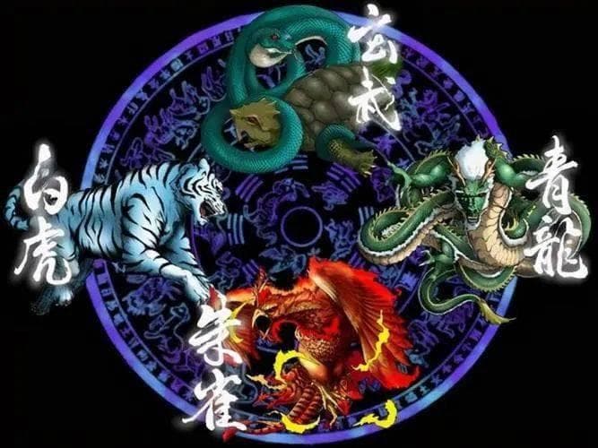 风水中的四大神兽布局：从传统建筑到现代家居设计的应用