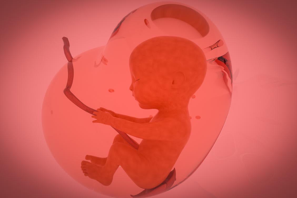 【健康科普】数胎动——孕妈妈与宝宝之间最亲密的对话
