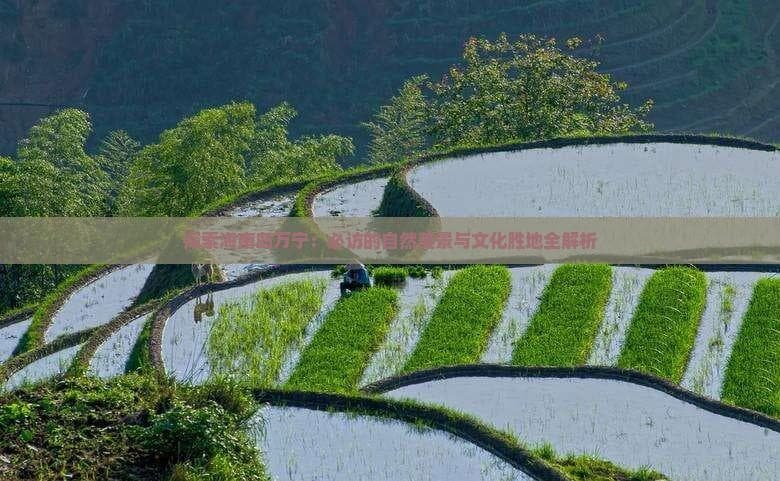 探索海南岛万宁：必访的自然美景与文化胜地全解析