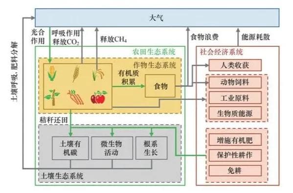 生态系统固碳新动力：农田碳汇项目模式探索
