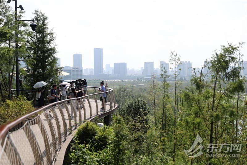 上海世博文化公园南区开园！双子山、温室花园等你来打卡
