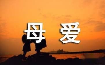 歌颂母爱的经典诗句