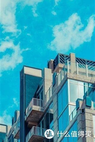 橘猫品种介绍与养护指南