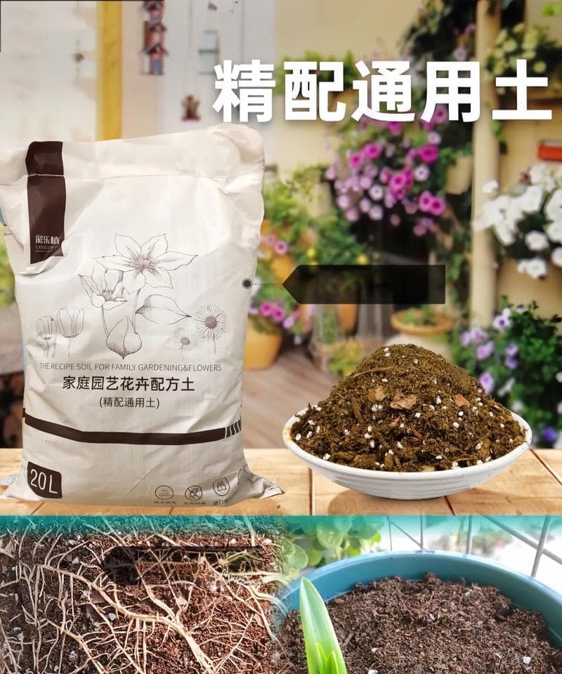 如何种植适合绣球花的土壤（打造适宜绣球花生长的土壤——详解土壤成分和调配技巧）