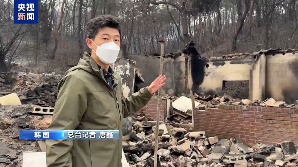 韩国山火蔓延 灾区财产损失惨重 火线绵延数公里