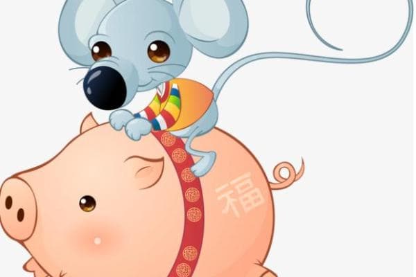 猪和猴的配对分析：相性与相处之道