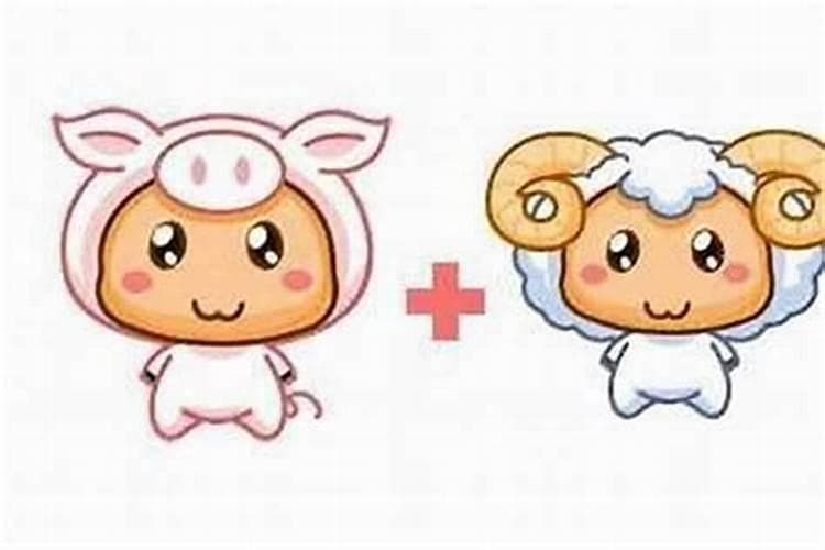 八字星运如何解析运势？