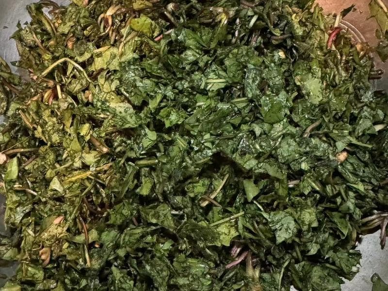 不苦的西洋蒲公英麦饭