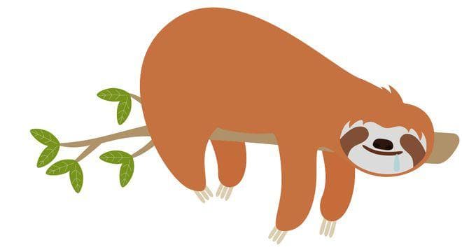 关注！睡眠障碍和心血管疾病存在双向关系