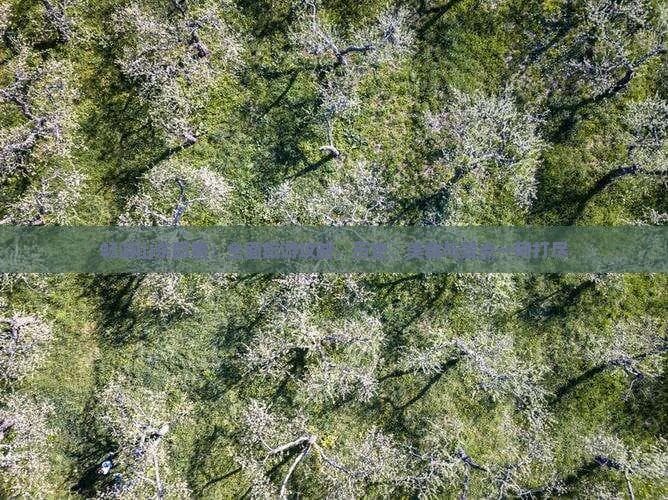 畅游山东即墨：全面旅游攻略，历史、美食与景点一网打尽