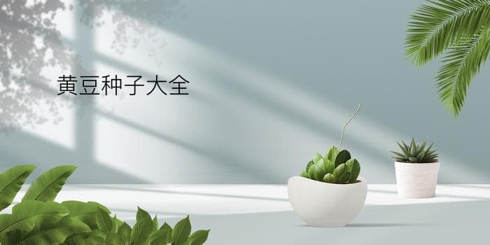 黄豆种子大全：从选购到丰产的全程指南
